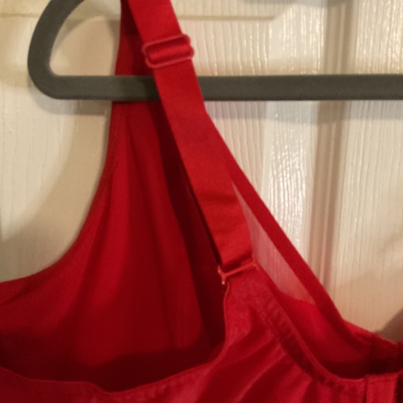 Parfait Double Mesh Lined Plunge Bra Red Underwire Semi Sheer - Picture 6 of 9